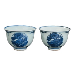 A pair of blue and white floral pattern cups