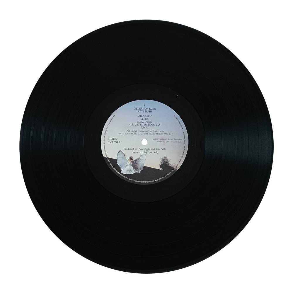 KATE BUSH SIGNED "NEVER FOR EVER" LP - 5