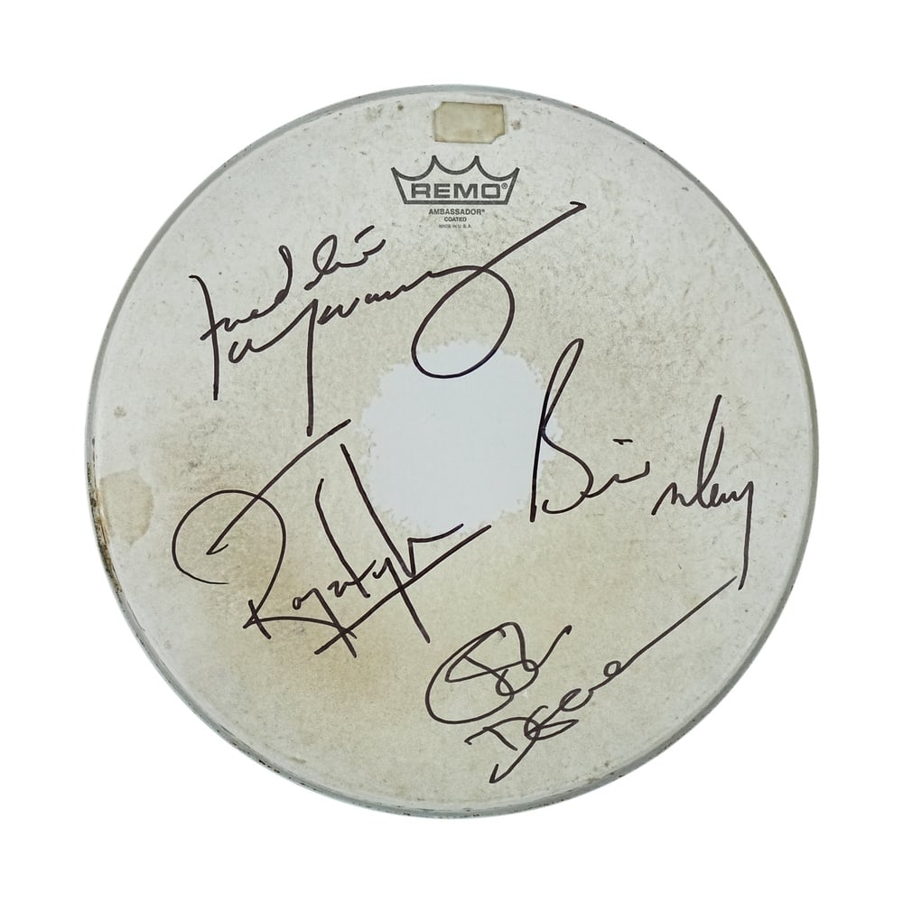 QUEEN FULLY SIGNED REMO AMBASSADOR DRUMHEAD: Diameter 13 3/4 in (35 cm) This Remo Ambassador coated drumhead has been fully signed by all four members of Queen: Freddie Mercury, Brian May, Roger Taylor, and John Deacon. The signatures are execut
