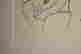 item-96365774=6