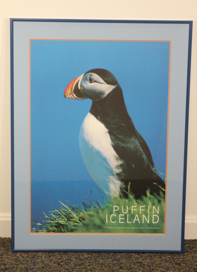 Puffin Poster Purchased in Iceland (1 of 4)