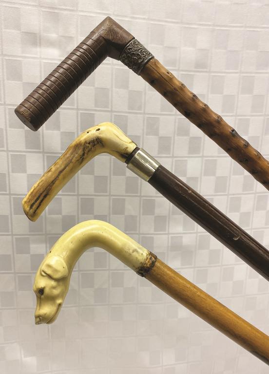 Three Crook Handled Canes: One Dog Form (imitation (1 of 1)