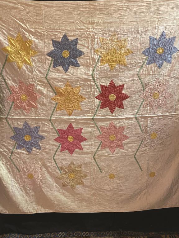 Applique Quilt featuring 8 Pointed Star Flowers applied (1 of 1)