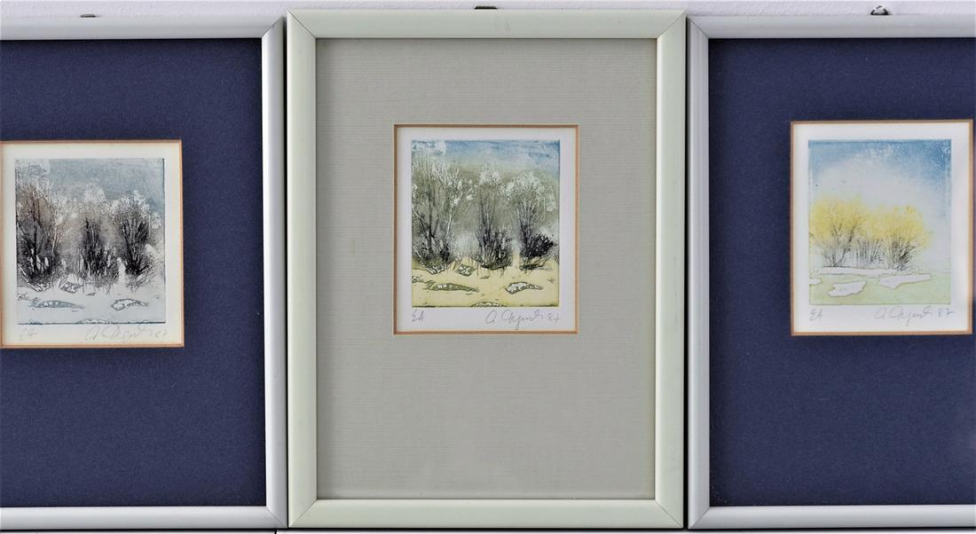 Annemarie Degenhart (*1935, Ulm) - Set of 3 color: Annemarie Degenhart (*1935, Ulm) - Set of 3 color etchings, 1987 on paper. Multicolor etchings. Abstracted representation of shrubs at different seasons. Each signed and dated. Framed with passepartou
