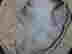 item-129442295=4