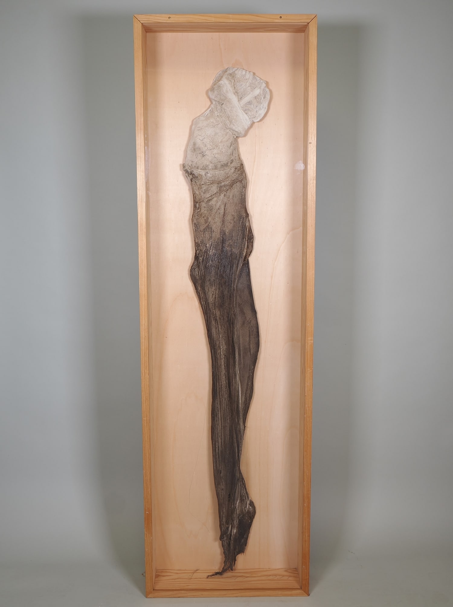 Jürgen Brodwolf (1932, Canton of Zurich, Switzerland) - Large figure in display case, 1988: Jürgen Brodwolf (1932, Canton of Zurich, Switzerland) - Large figure in display case, 1988Unique piece, made of painted linen with chalk slurry, signed and dated on both the figure and the bottom of