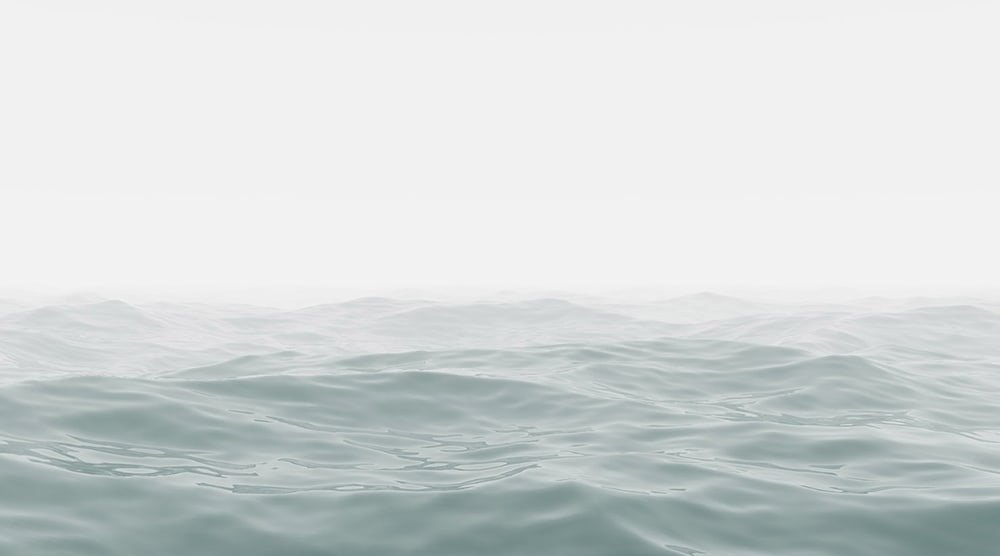 Gerhard Mantz - The Melancholy of Purity, 2007 (1 of 1)