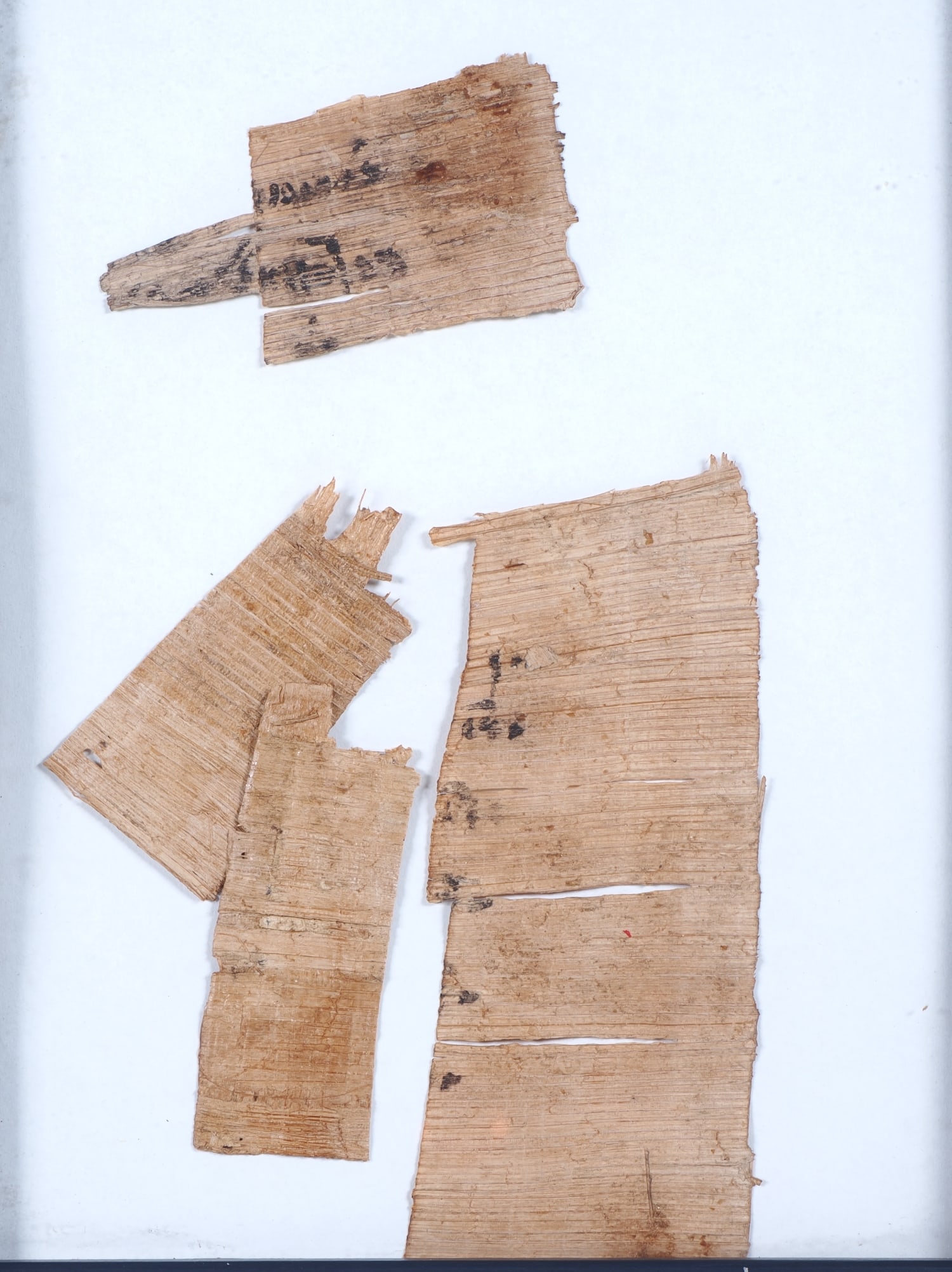 Papyrus fragments, Ptolemaic period 300-30 BC - framed (1 of 2)