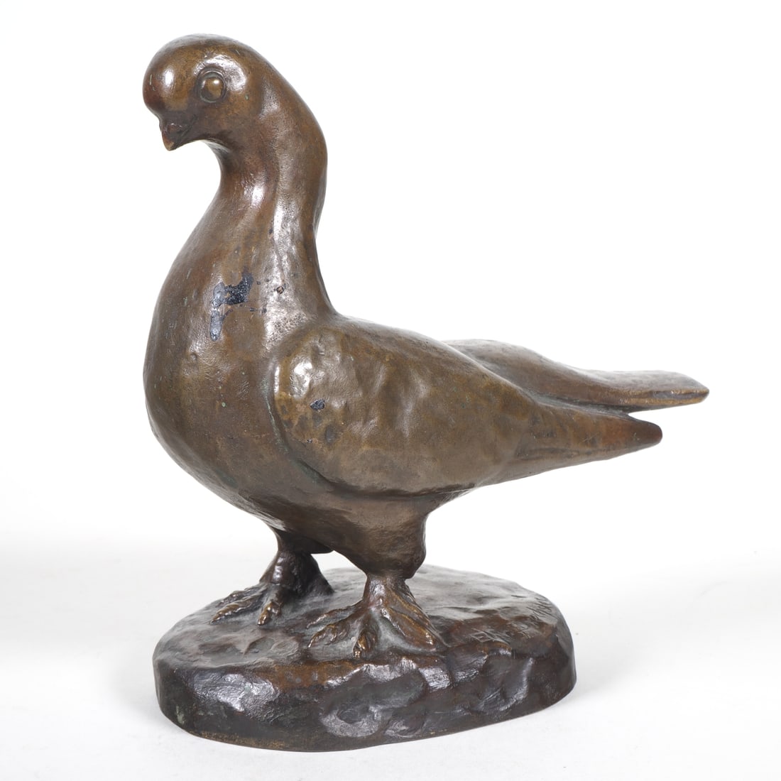 Elfriede Drechsler (1923 - 2009, Weinböhla) - Bronze Dove, 1948 (1 of 3)