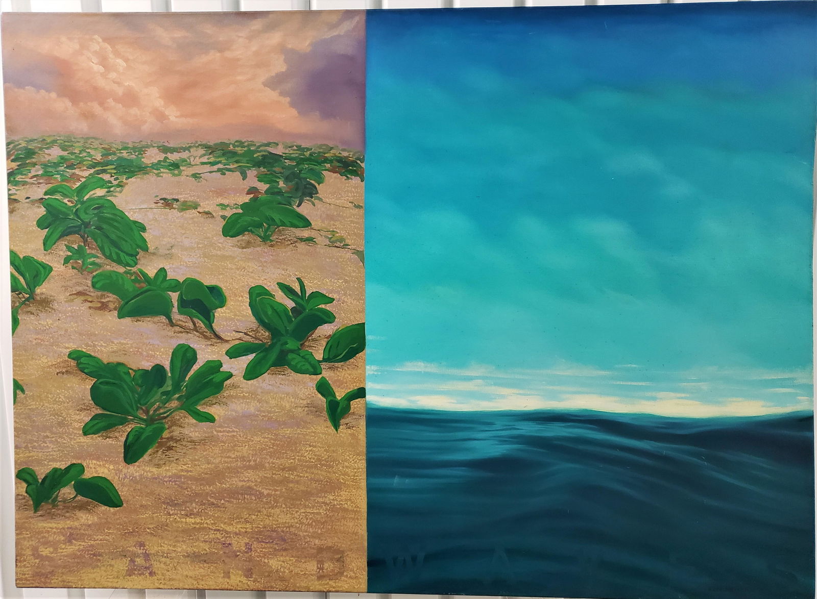 Two views of the shoreline SAND WAVE (1 of 11)