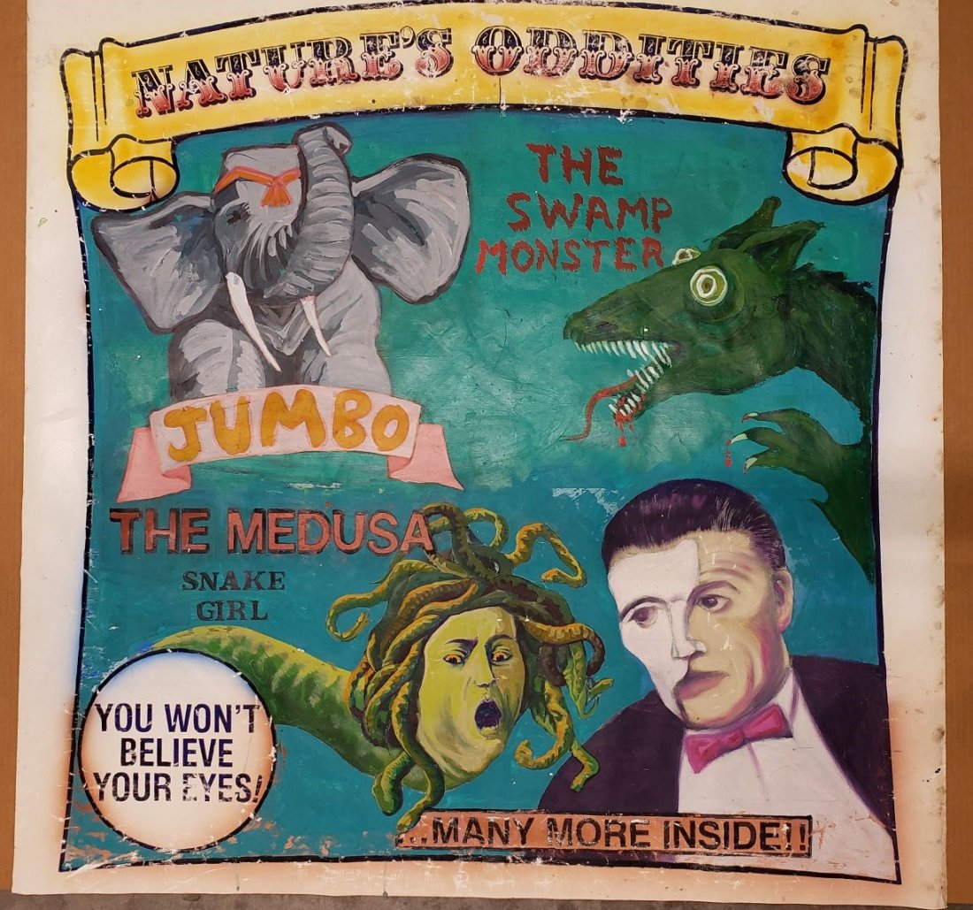 Nature's Oddities (1 of 6)