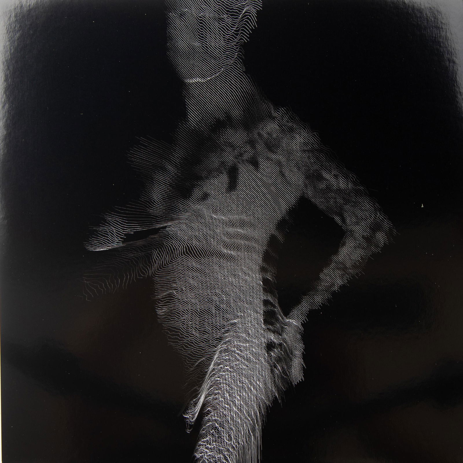 Santiago Echeverry / Roger Brown: Photography. Volumetric 3D portrait of Roger Brown captured in real time using the Kinect Sensor and a software called Processing. The piece explores Roger's tattoos and naked body in sensual and erot