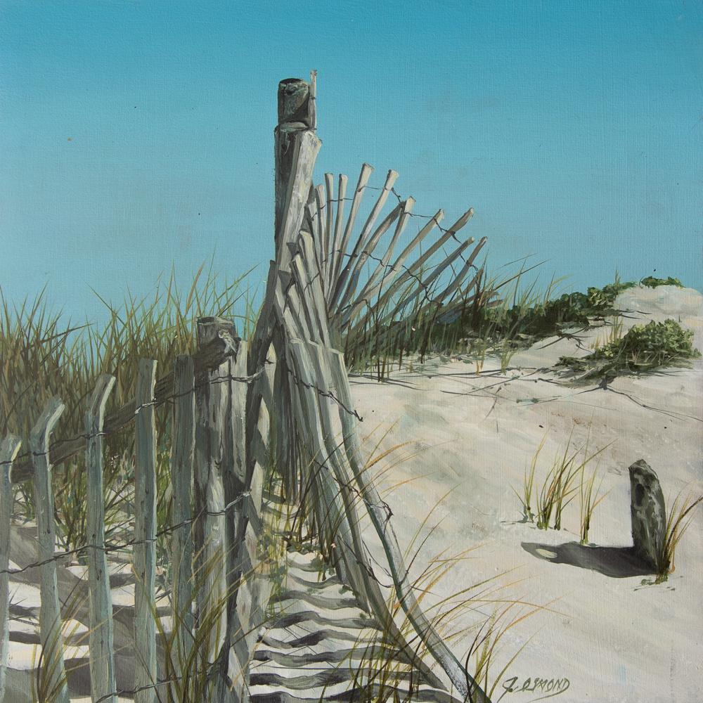 Jeff Osmond / Herring Cove (1 of 4)