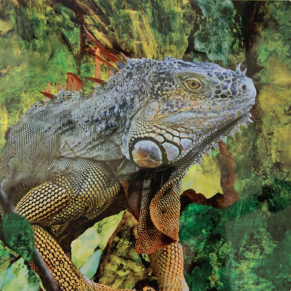 Judith Rostenne / Wildlife Fantasy: Photography. Photo of an iguana taken by the author, digitally superimposed on a photo of a collage, also created by the author. Metal print.