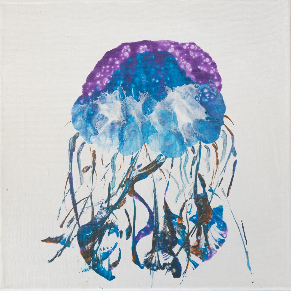Suzanne Barton / Jellyfish (1 of 4)