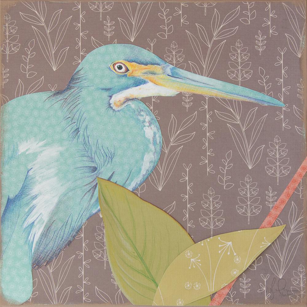 Meghan Pearson / Tricolored Heron (1 of 4)