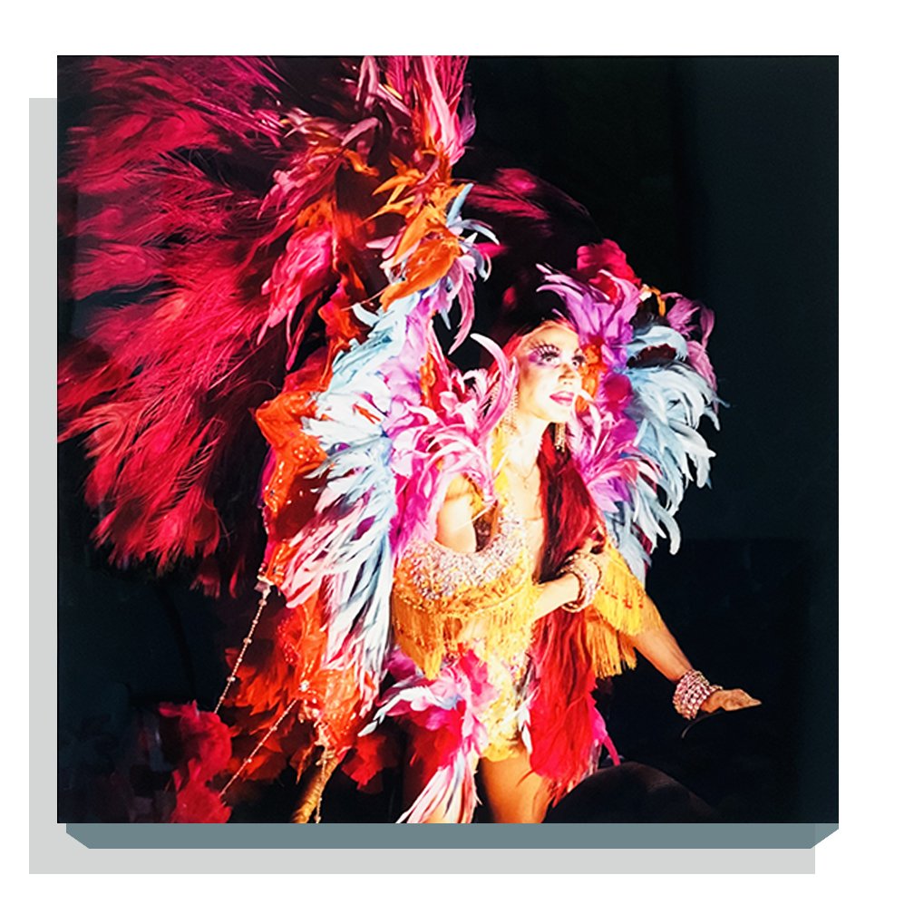 Sharron Demarest / Feathers: Photography. The photograph was taken during the 2022 Wilton Manors Pride Parade. I was delighted by the feathers in his costume and how the perfect lighting worked to accentuate each feather along wi