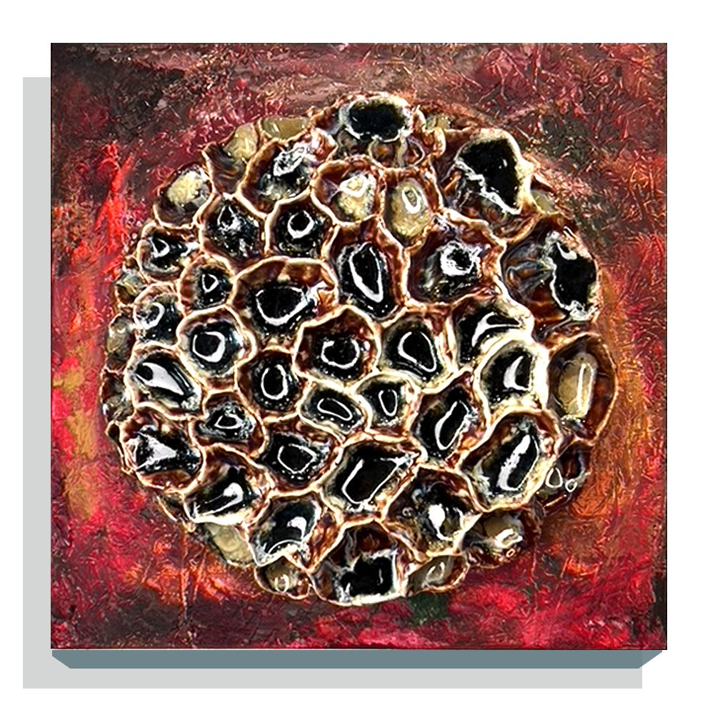 Diane Lublinski / Reef #14 (1 of 2)