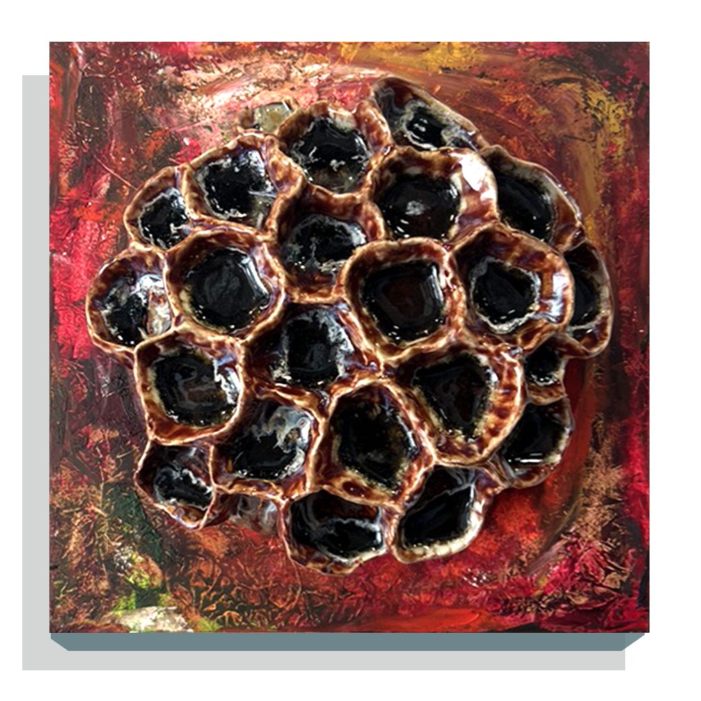 Diane Lublinski/ Reef #18 (1 of 2)