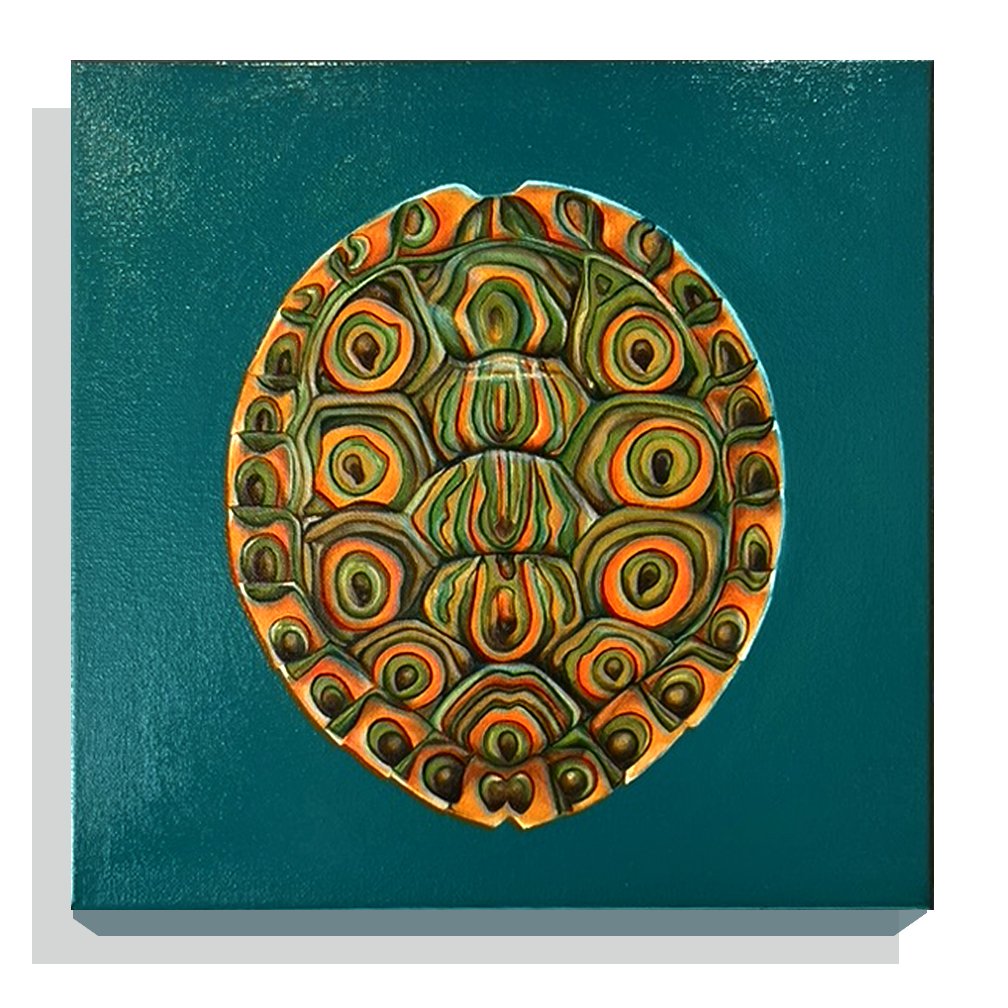 Pia Dugger / Out of my Shell (1 of 1)