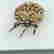 item-111964447=2