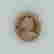 item-130938648=2