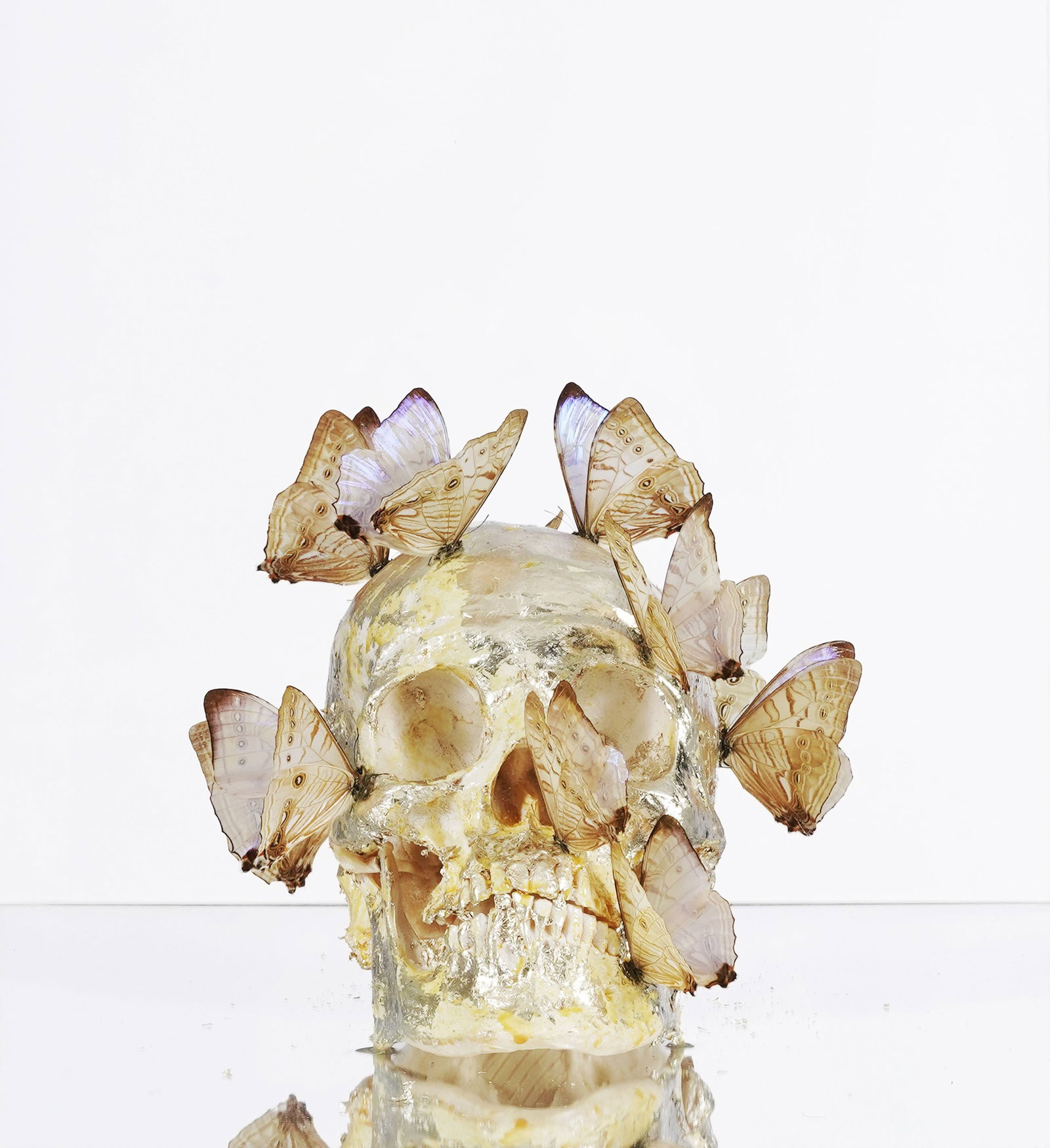 Philippe Pasqua (1965), Vanité, sculpture en technique mixte dans un emboîtage plexiglas et une: Philippe Pasqua (1965), Vanité, sculpture en technique mixte (résine, feuilles d'or et papillons) dans un emboîtage plexiglas et une colonne effet miroir, 196x40x50 cm