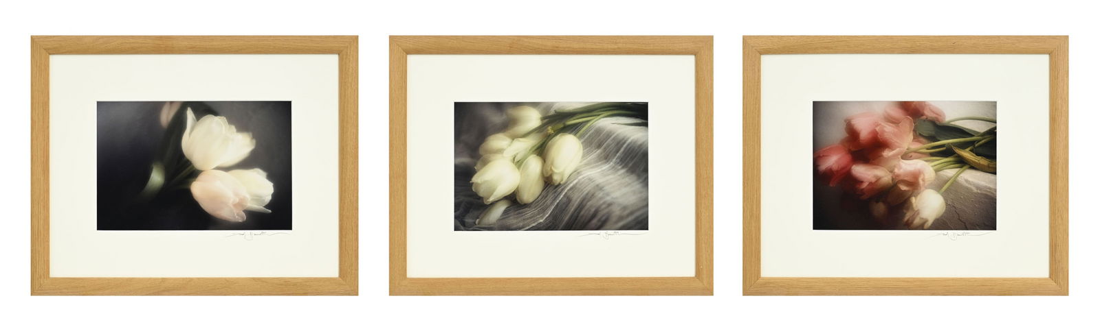 David Hamilton (1933-2016), Tulipes, suite de 3 photographies couleurs, signées sur le passe-pa: David Hamilton (1933-2016), Tulipes, suite de 3 photographies couleurs, signées sur le passe-partout, tirage inconnu, 23,5x33,5 (à vue, chaque) Provenance: acquis directement auprès de