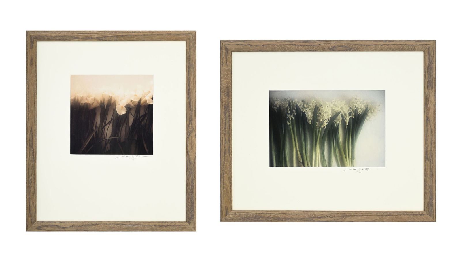 David Hamilton (1933-2016), Arums et Glycines, suite de 2 photographies couleurs, signées sur l: David Hamilton (1933-2016), Arums et Glycines, suite de 2 photographies couleurs, signées sur le passe-partout, tirage inconnu, 26x27 et 23,5x35,5 cm (à vue, chaque) Provenance: acquis direc