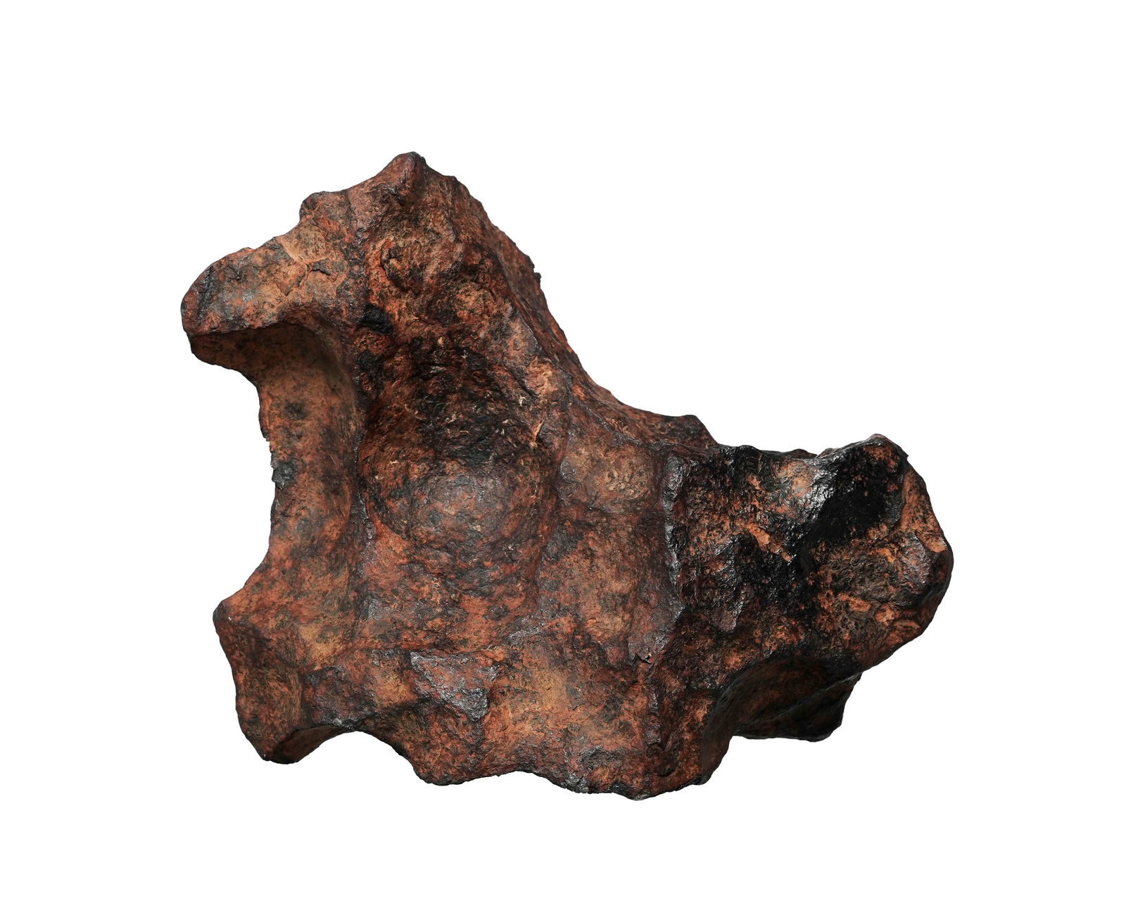 Exceptionnelle météorite ferreuse de Gibeon, Namibie, 4898 g., diamètre maximum : 18, (1 of 4)