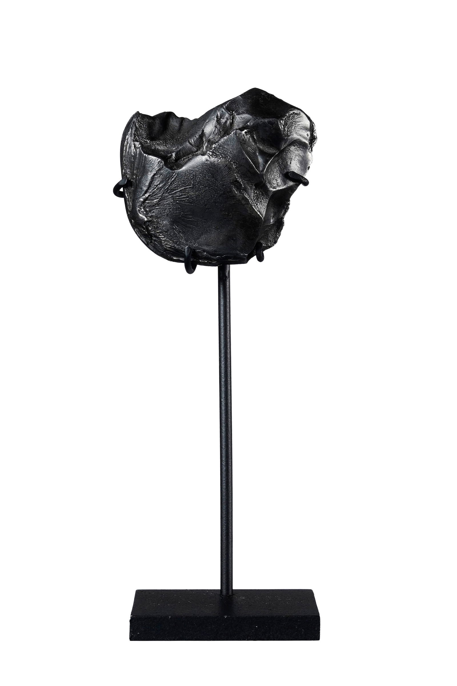 Météorite Sikhote-Alin, spécimen orienté, Russie, avec socle sur mesure, 156 g., (1 of 2)