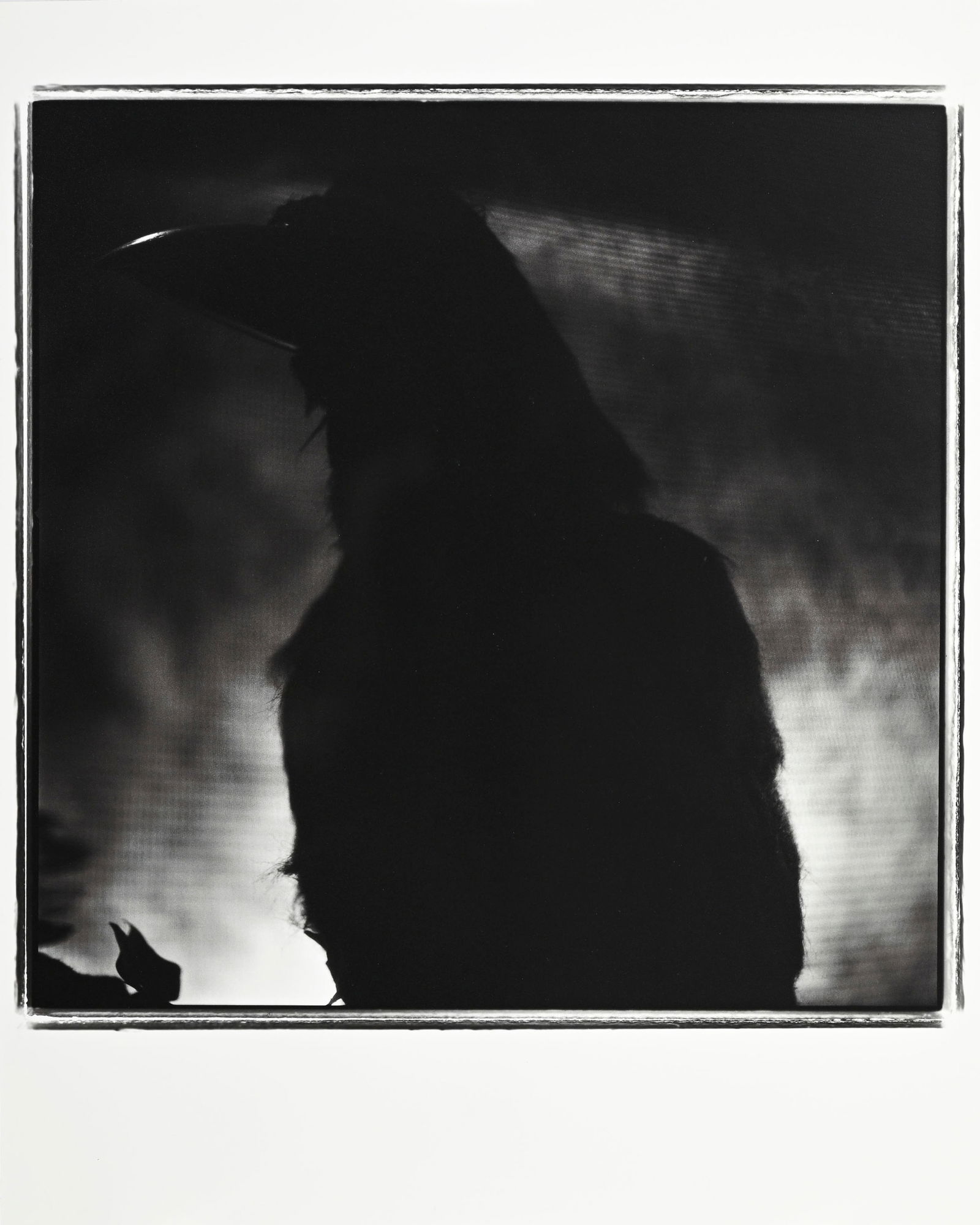 Keith Carter (1948), "Merlin", 1997, tirage argentique, signé, titré, daté et num: Keith Carter (1948), "Merlin", 1997, tirage argentique, signé, titré, daté et numéroté 19/50 au verso, 39x39 cm, 50,5x40,5 cm (feuille) Provenance: PDNB Gallery, Dallas TX, 28