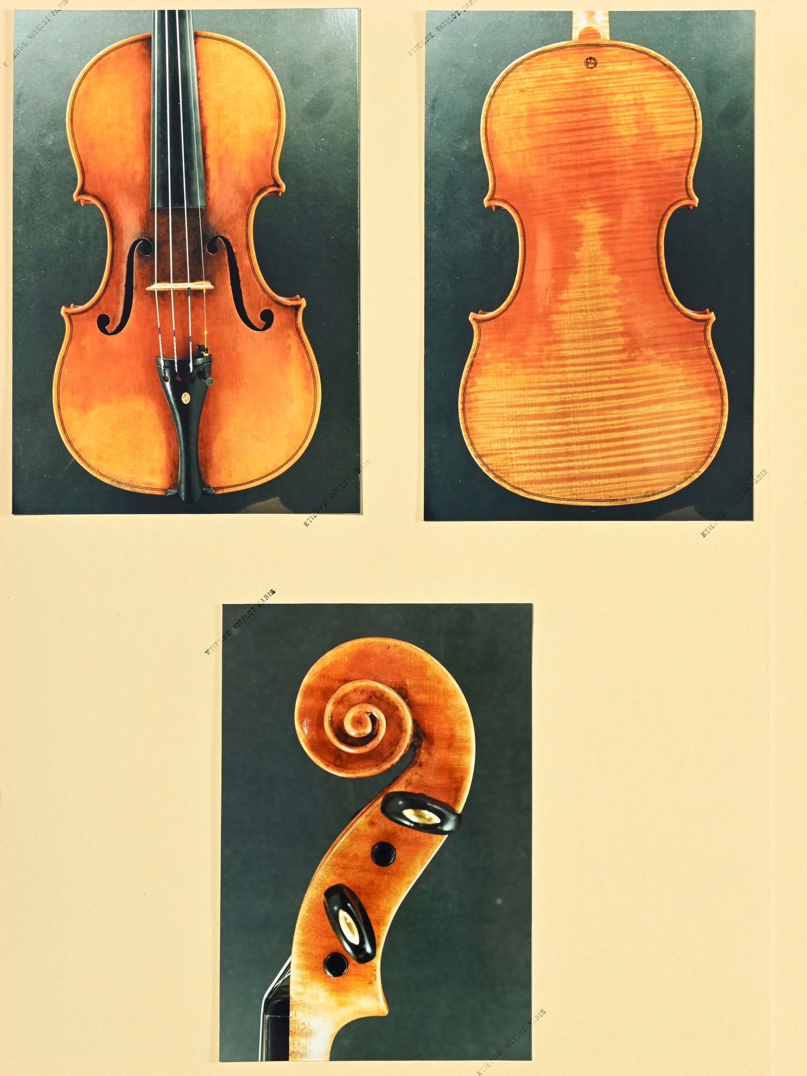 Beau violon de Pierre Hel n°419, portant l'étiquette originale située à Lille et - 11