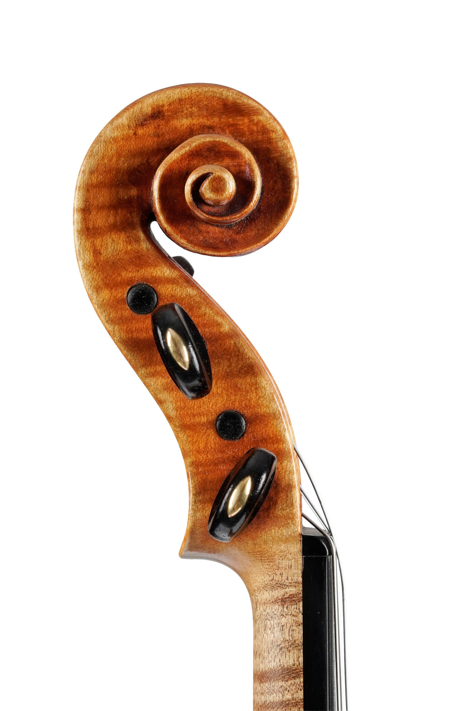 Beau violon de Pierre Hel n°419, portant l'étiquette originale située à Lille et - 7