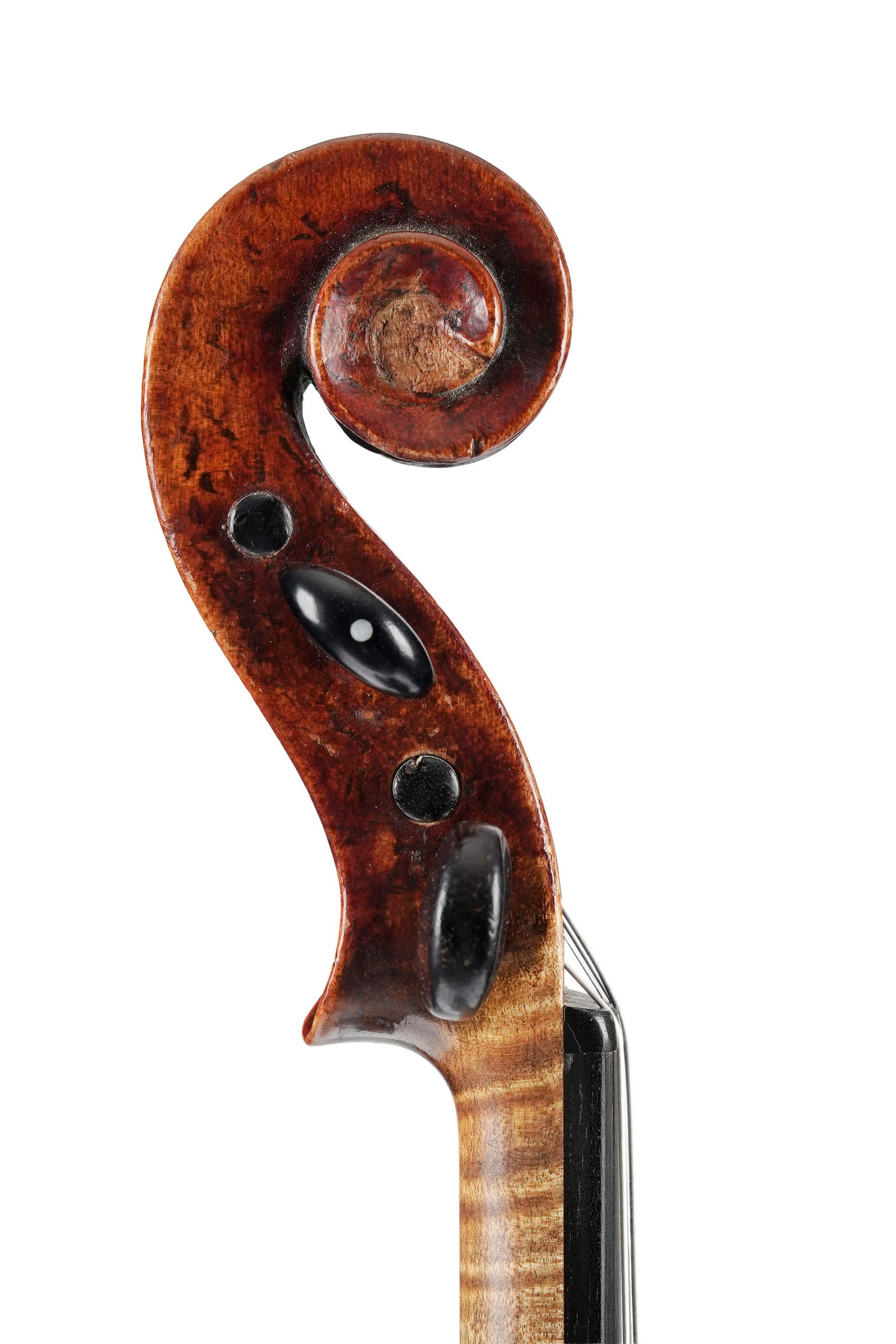 Violon de l'école allemande fait en imitation et revernis, portant une étiquette apocryphe - 6