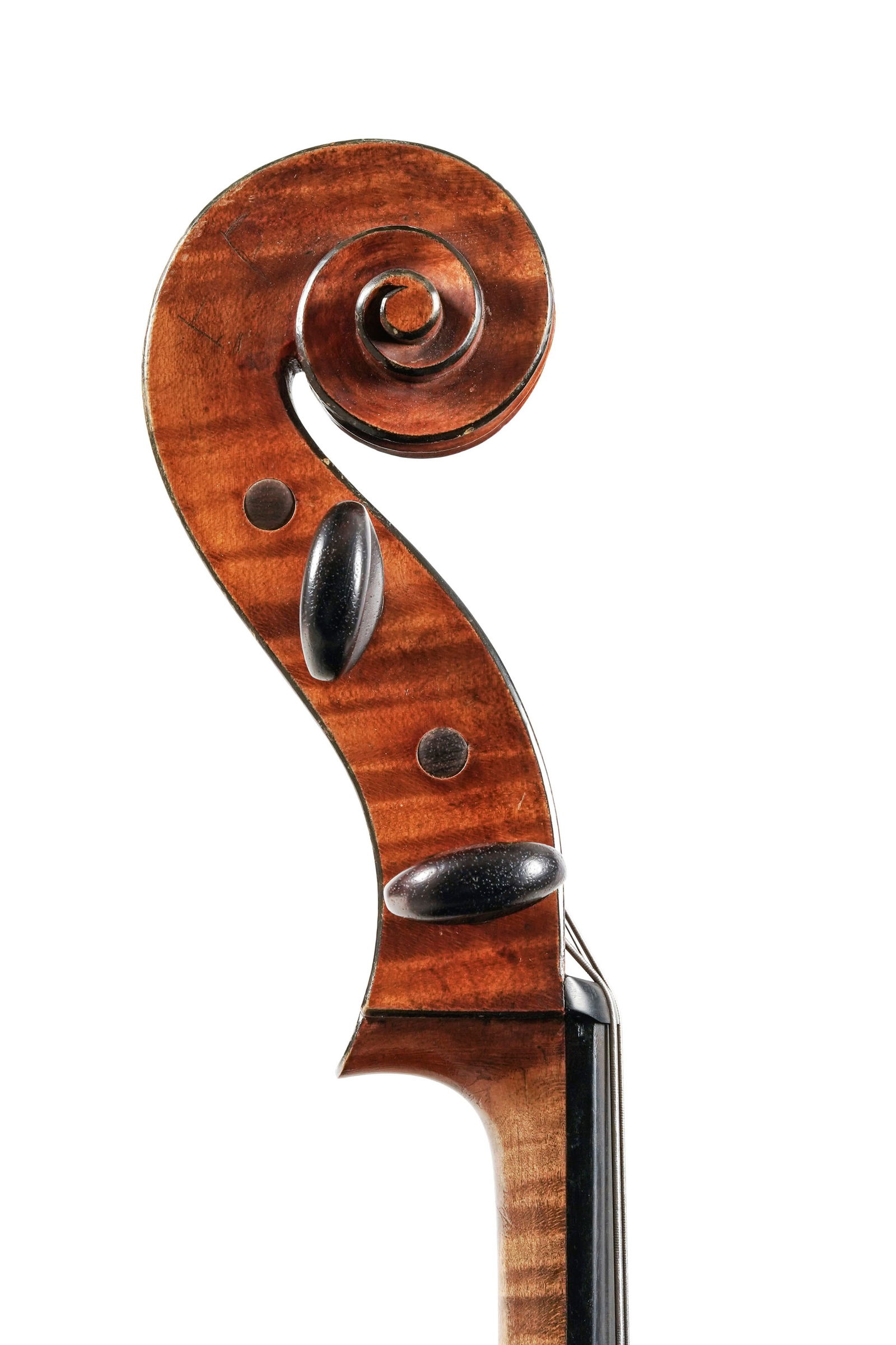 Beau violoncelle de l'école française fait par Collin-Mézin père dans le mill - 6