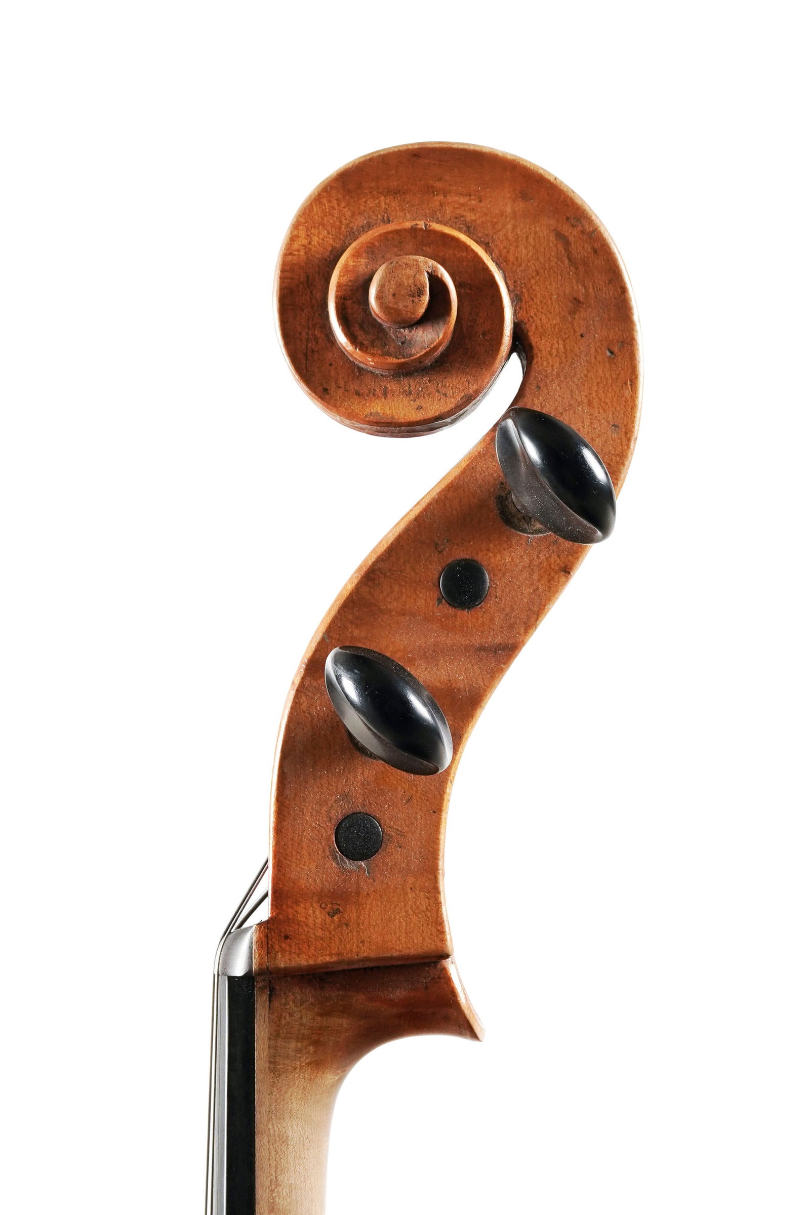 Violoncelle d'étude allemand, première moitié du XXe s., 755 mm. Vendu avec sa housse - 4