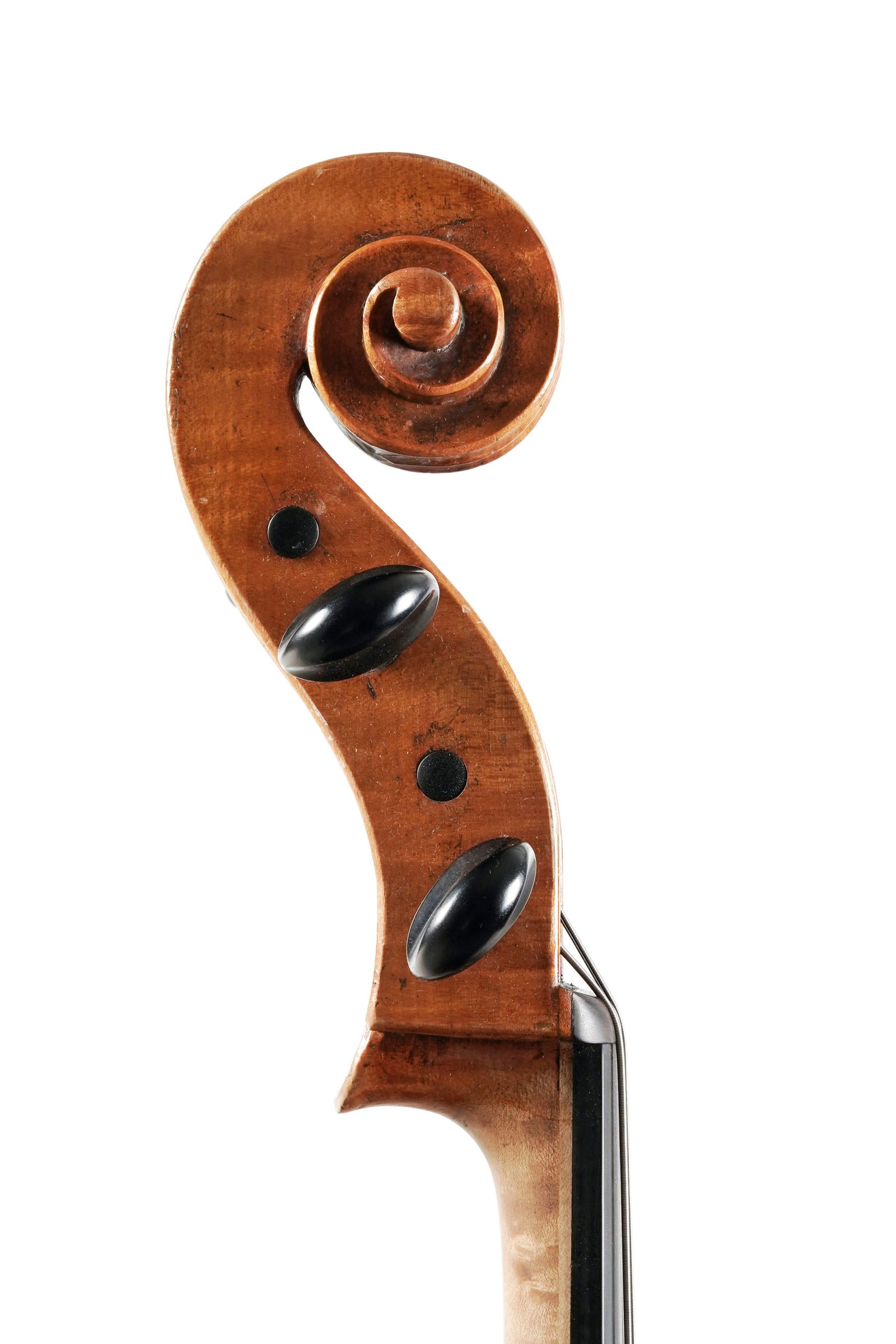 Violoncelle d'étude allemand, première moitié du XXe s., 755 mm. Vendu avec sa housse - 6