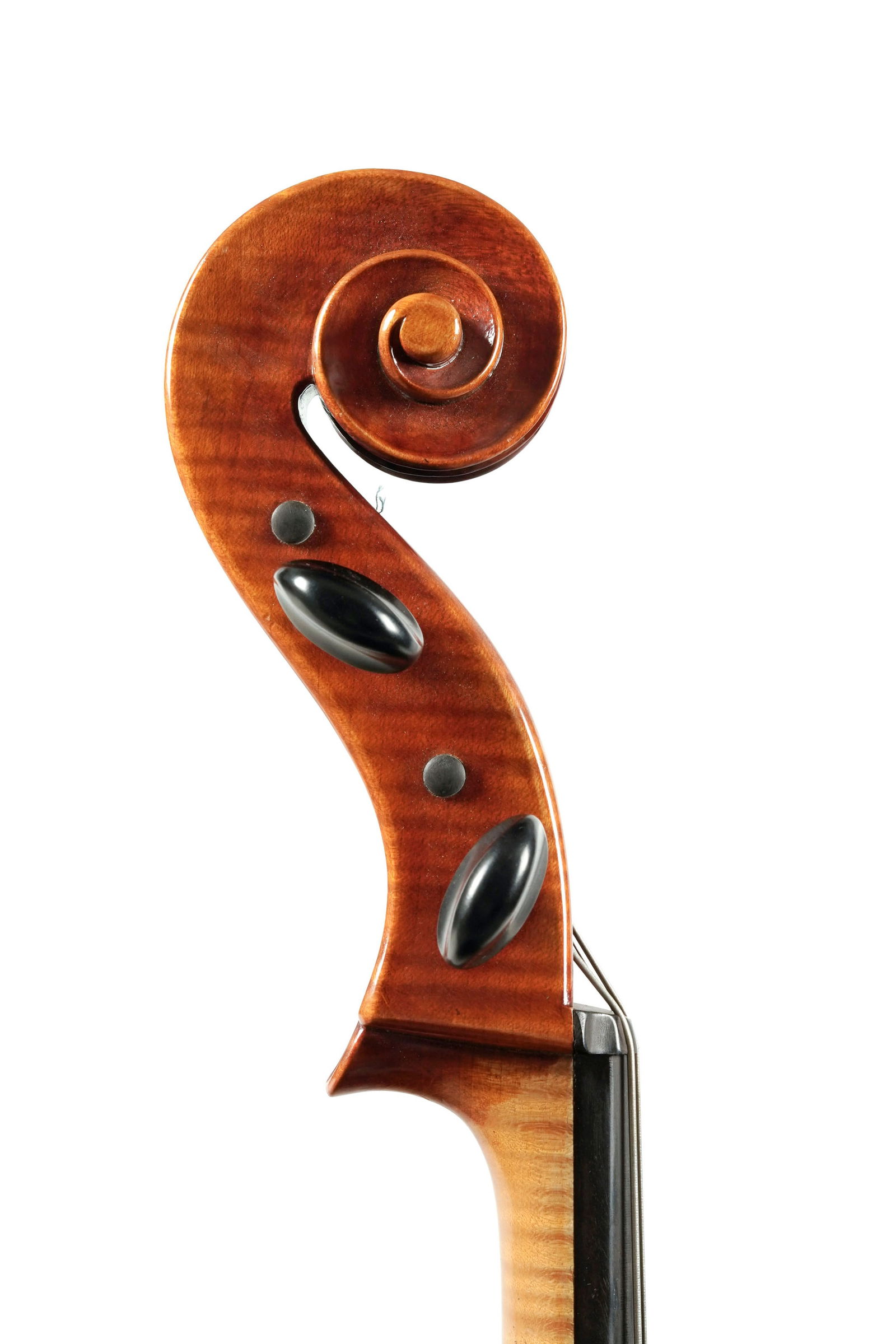 Violoncelle par Rudolf Buchner à Erlangen, modèle 230, 1989, 755 mm. Avec son archet sign& - 6