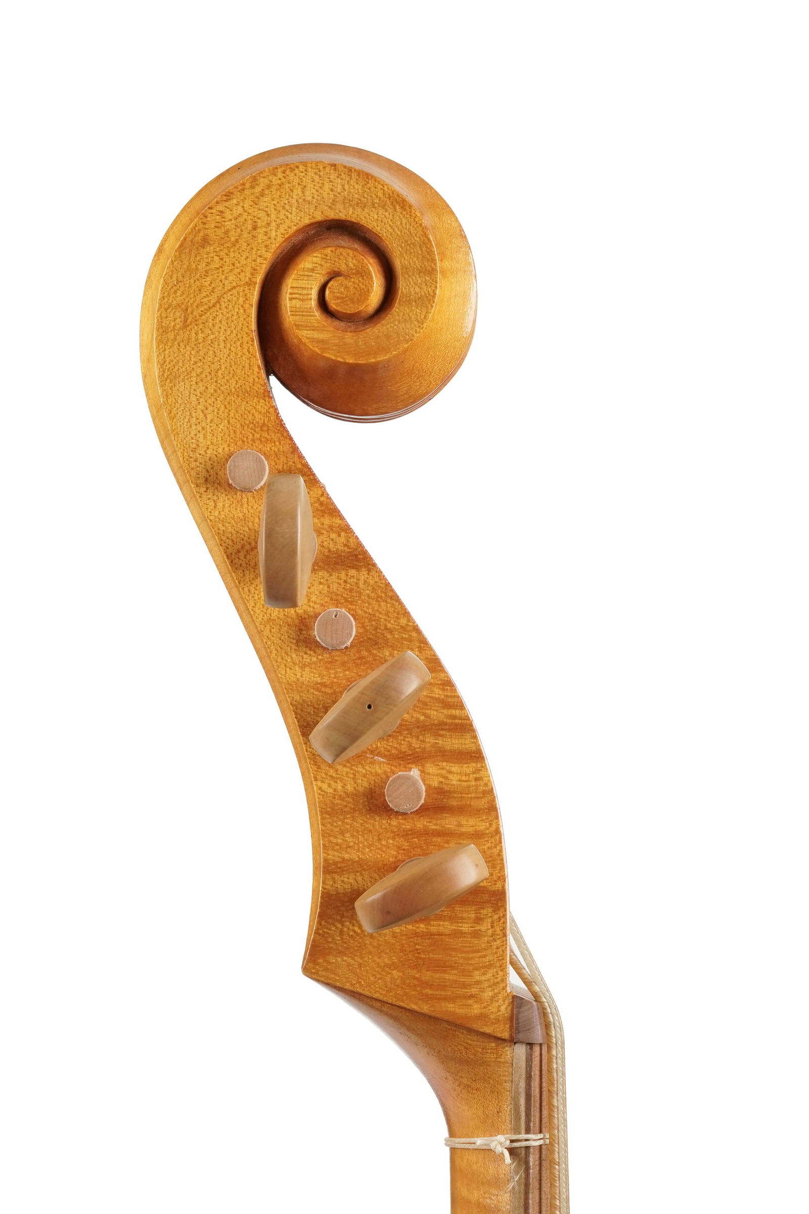 Basse de viole de gambe, portant une étiquette de Pierre Thouvenot à Dieppe datée de  - 7