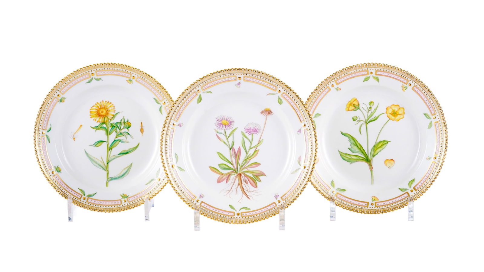 Suite de 3 assiettes à dessert Flora Danica en porcelaine Royal Copenhague, 1992-1997, Ranuncul: Suite de 3 assiettes à dessert Flora Danica en porcelaine Royal Copenhague, 1992-1997, Ranunculus lanuginosus L., Erigeron eriocephalus J. Vahl, Inula salicina L., n°621, diam. 19,5 cm 