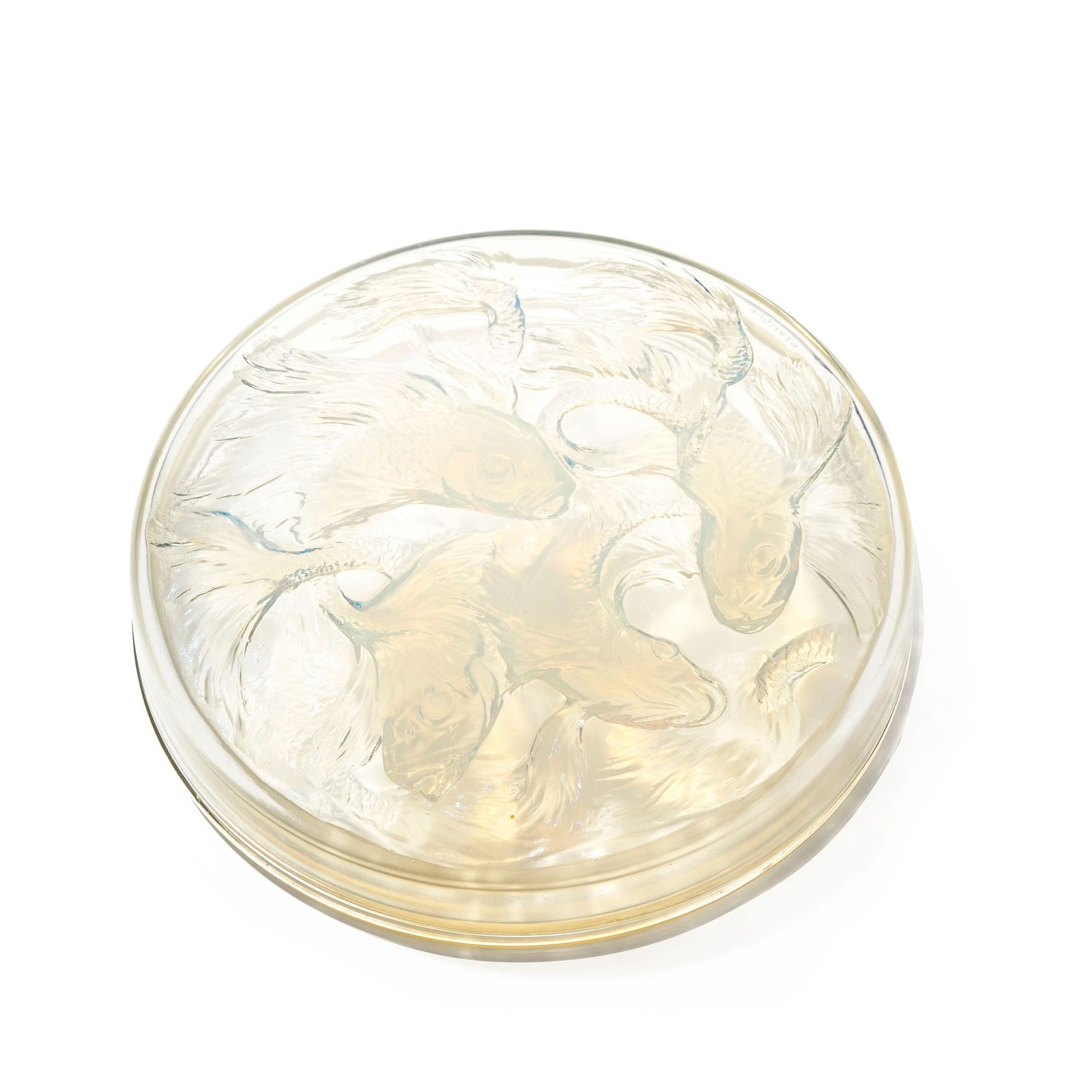 Boîte en verre moulé-pressé en partie opalescent signé R Lalique, modèle Cy: Boîte en verre moulé-pressé en partie opalescent signé R Lalique, modèle Cyprins, modèle créé en 1921, diam. 26 cm In: MARCILHAC, n° 42, p. 230 Provenance: