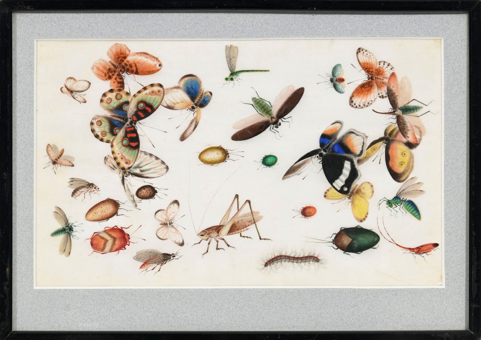 Divers insectes, gouaches sur papier d'aralie, Chine, Canton, XIXe s., 17,5x28,5 cm (gouache, à: Divers insectes, gouaches sur papier d'aralie, Chine, Canton, XIXe s., 17,5x28,5 cm (gouache, à vue). On joint une gouache au sujet similaire, avec dégâts et manques Various insects,