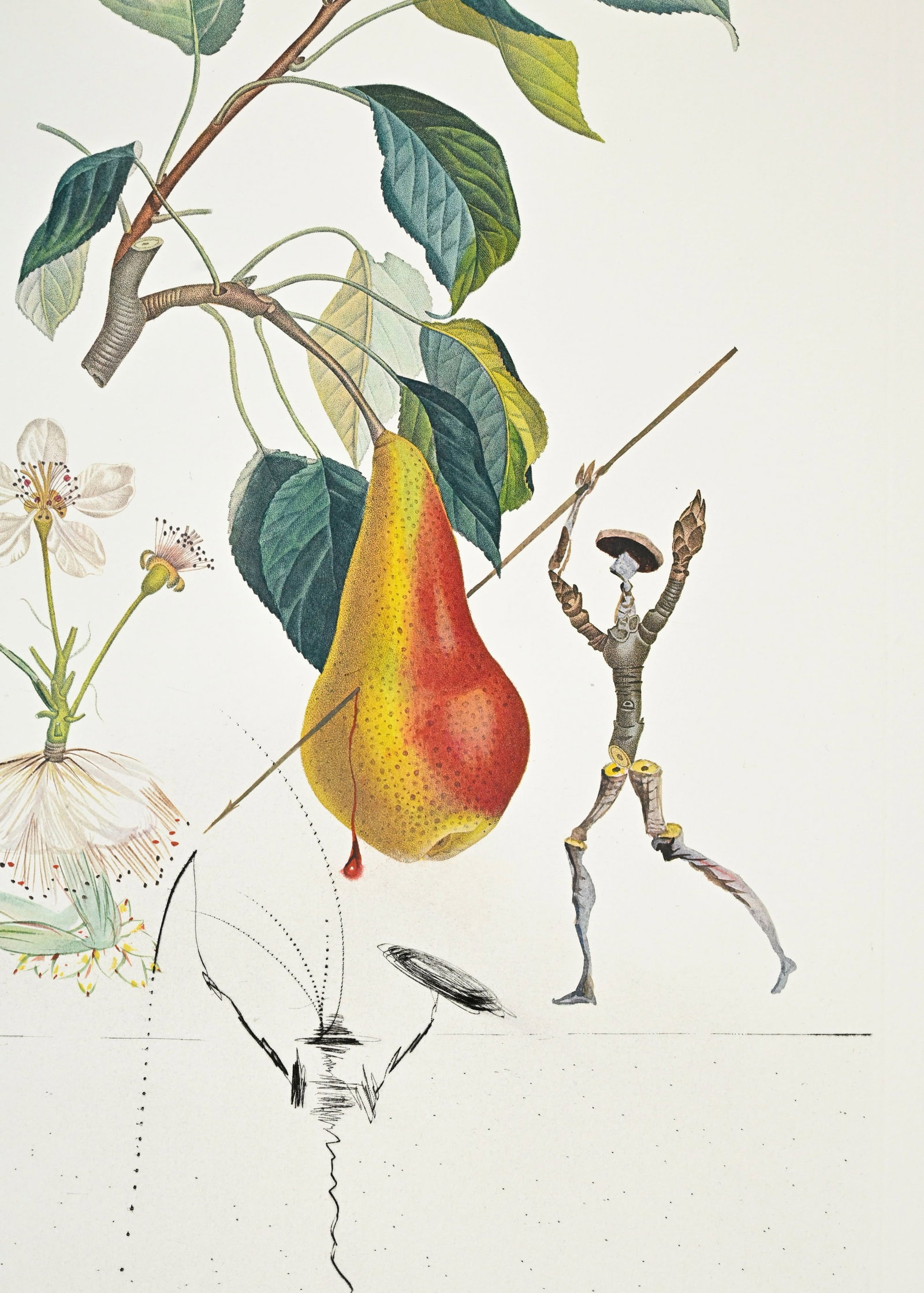 Salvador Dali (1904-1989), "FlorDali - Les Fruits", 1969, 10 pointes-sèches et lithographies en - 11