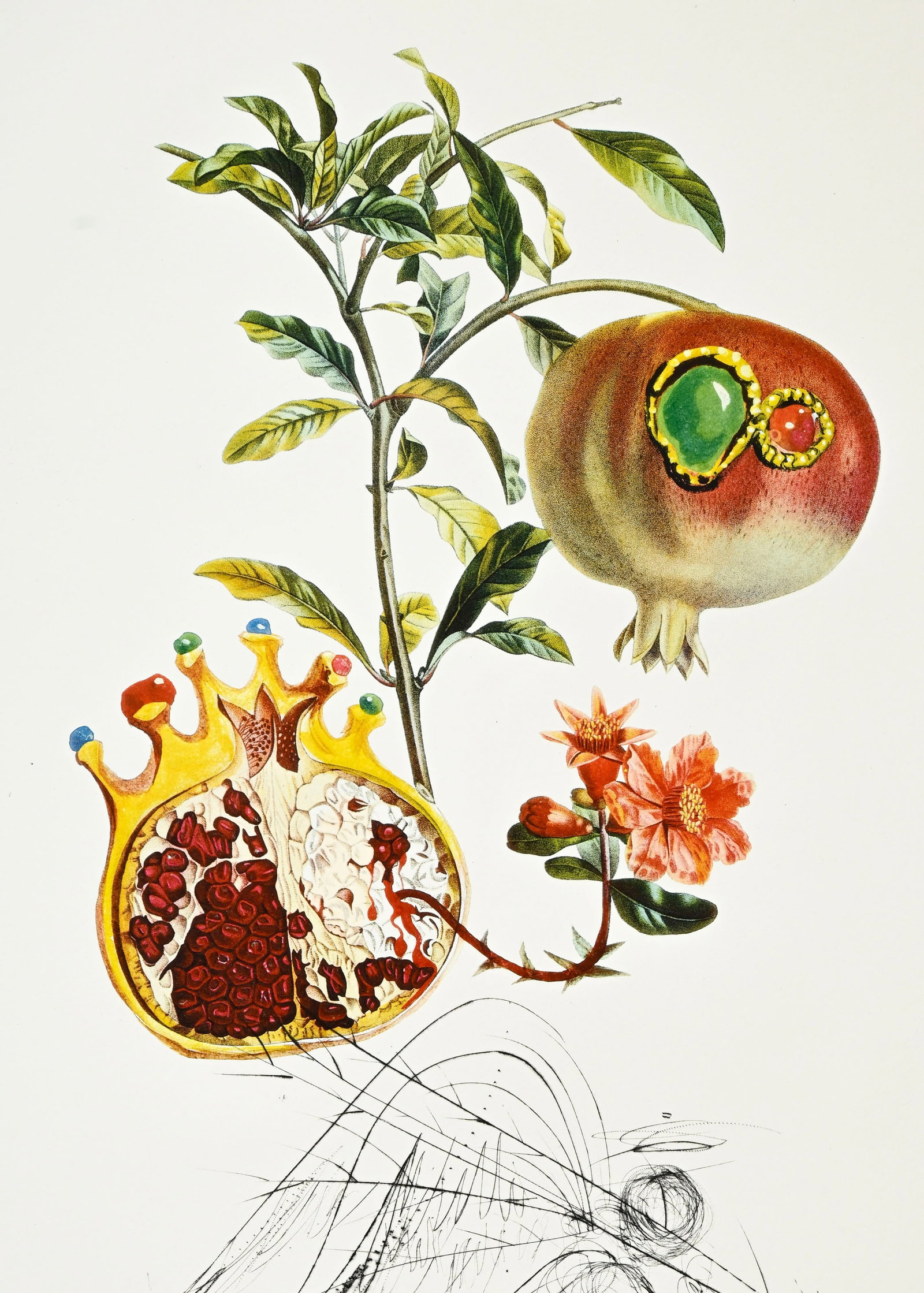 Salvador Dali (1904-1989), "FlorDali - Les Fruits", 1969, 10 pointes-sèches et lithographies en - 13