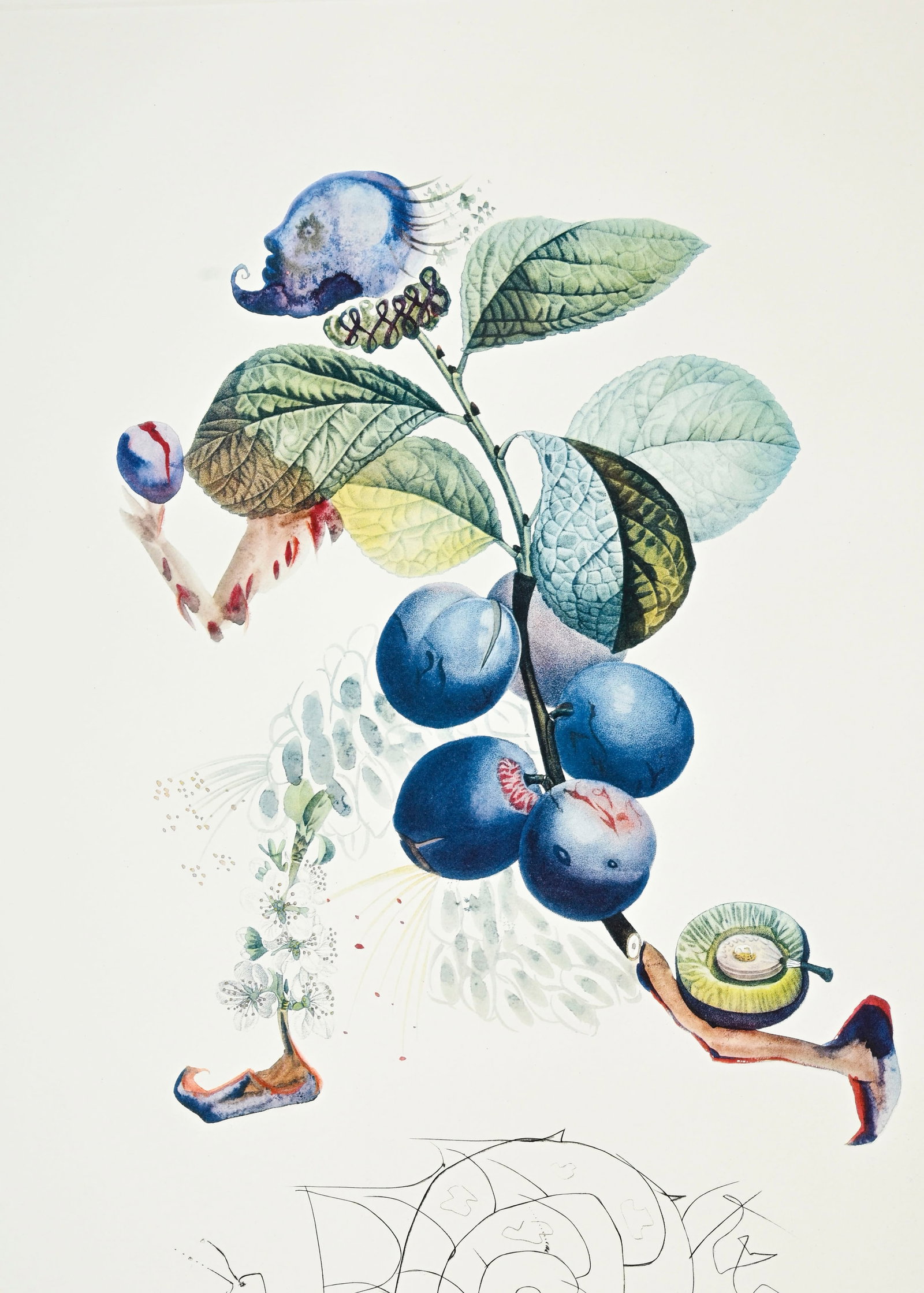 Salvador Dali (1904-1989), "FlorDali - Les Fruits", 1969, 10 pointes-sèches et lithographies en - 14