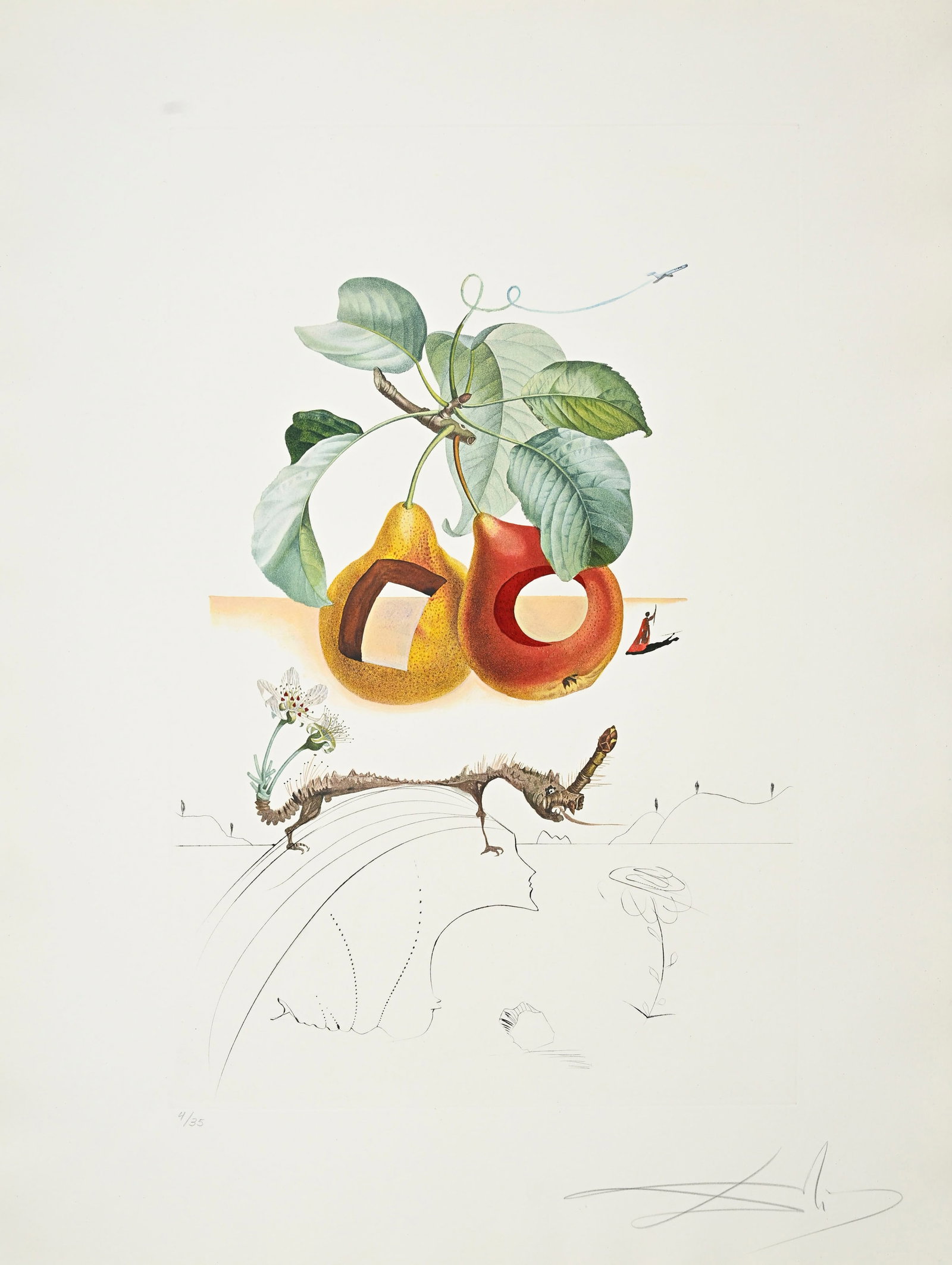 Salvador Dali (1904-1989), "FlorDali - Les Fruits", 1969, 10 pointes-sèches et lithographies en (1 of 20)