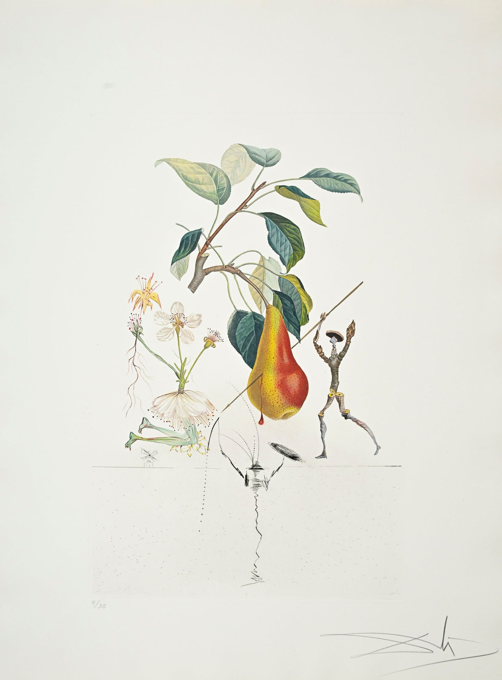 Salvador Dali (1904-1989), "FlorDali - Les Fruits", 1969, 10 pointes-sèches et lithographies en - 2