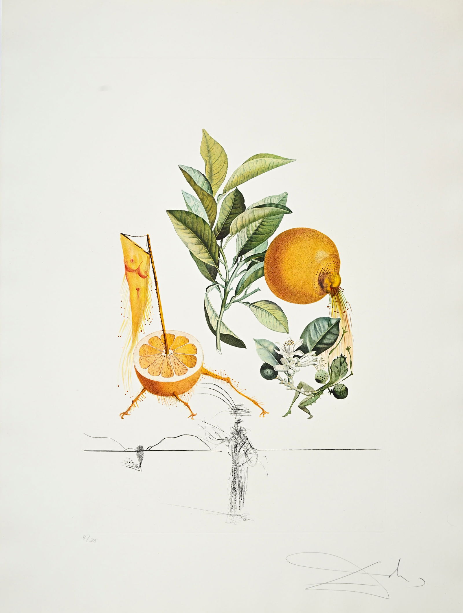 Salvador Dali (1904-1989), "FlorDali - Les Fruits", 1969, 10 pointes-sèches et lithographies en - 3