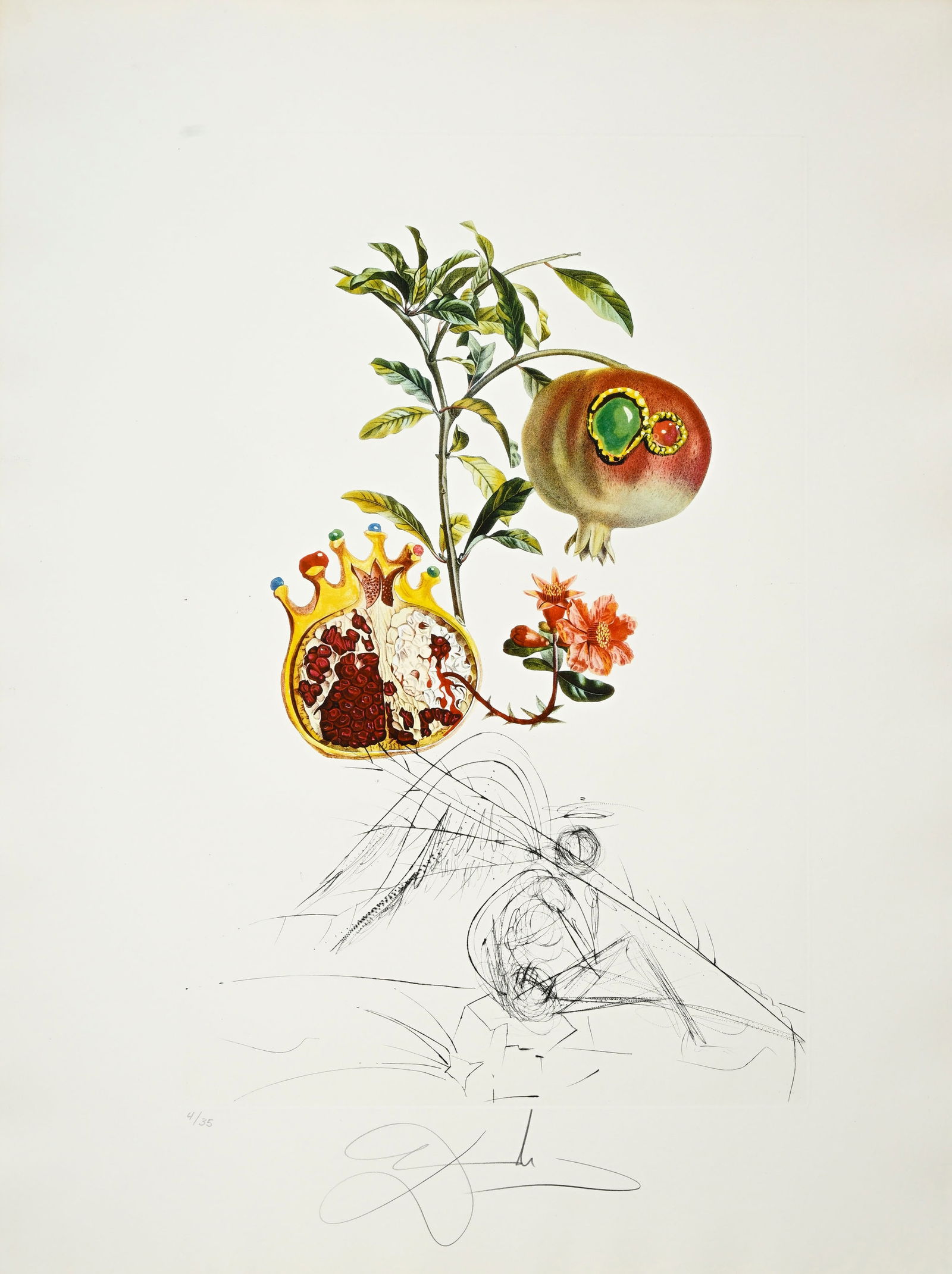Salvador Dali (1904-1989), "FlorDali - Les Fruits", 1969, 10 pointes-sèches et lithographies en - 4